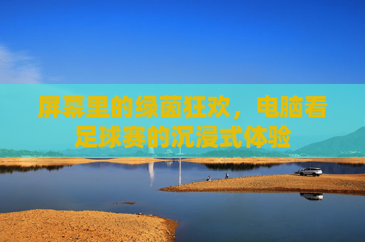 屏幕里的绿茵狂欢,电脑看足球赛的沉浸式体验
