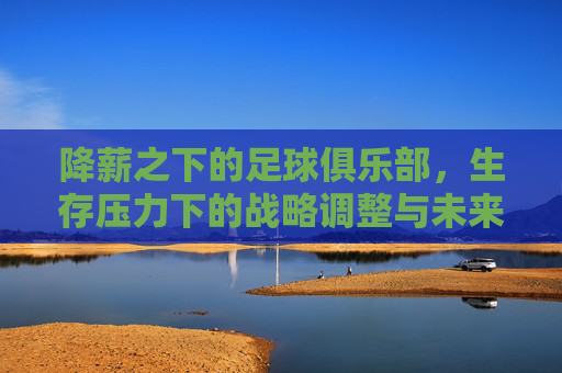 降薪之下的足球俱乐部，生存压力下的战略调整与未来抉择，降薪之下的足球俱乐部，生存压力下的战略调整与未来抉择