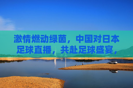 激情燃动绿茵，中国对日本足球直播，共赴足球盛宴，见证国足球员热血与团结，激情燃动绿茵，中国对日本足球直播，共赴足球盛宴，见证国足球员热血与团结