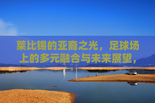 莱比锡的亚裔之光，足球场上的多元融合与未来展望，莱比锡的亚裔之光，足球场上的多元融合与未来展望