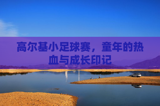 高尔基小足球赛,童年的热血与成长印记