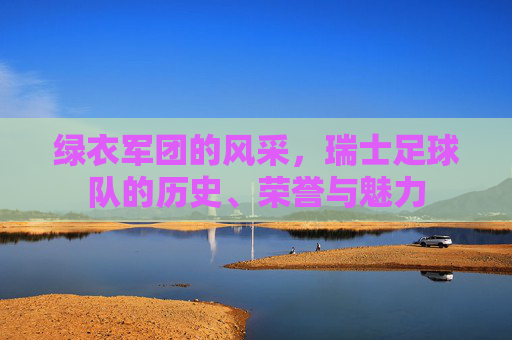 绿衣军团的风采,瑞士足球队的历史、荣誉与魅力