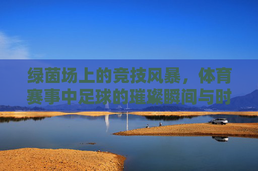 绿茵场上的竞技风暴,体育赛事中足球的璀璨瞬间与时代印记,绿茵场上的竞技风暴,足球的璀璨瞬间与时代印记