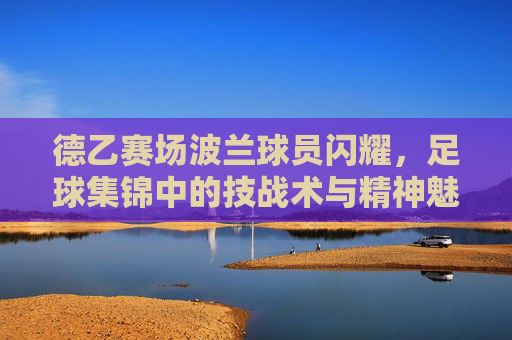 德乙赛场波兰球员闪耀,足球集锦中的技战术与精神魅力