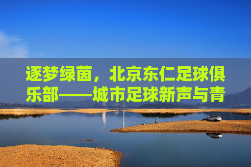 逐梦绿茵，北京东仁足球俱乐部——城市足球新声与青春力量的绽放