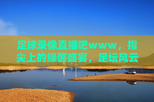足球录像直播吧www，指尖上的绿茵盛宴，足坛风云尽在掌握