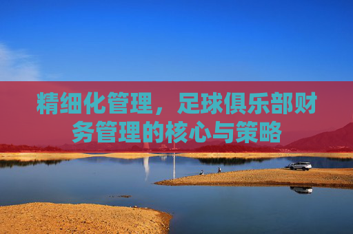 精细化管理,足球俱乐部财务管理的核心与策略
