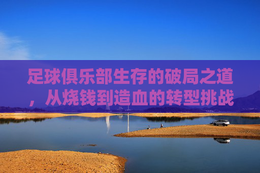 足球俱乐部生存的破局之道,从烧钱到造血的转型挑战与未来路径