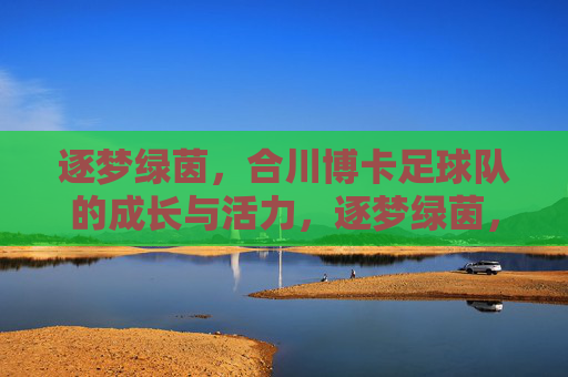 逐梦绿茵，合川博卡足球队的成长与活力，逐梦绿茵，合川博卡足球队的成长与活力