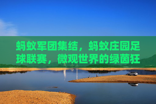 蚂蚁军团集结，蚂蚁庄园足球联赛，微观世界的绿茵狂欢与团队精神绽放