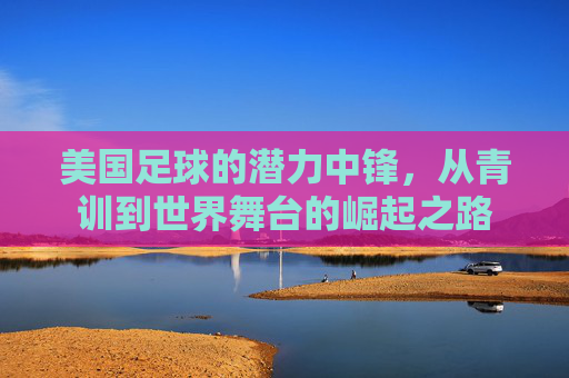 美国足球的潜力中锋，从青训到世界舞台的崛起之路