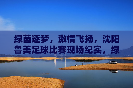 绿茵逐梦，激情飞扬，沈阳鲁美足球比赛现场纪实，绿茵逐梦，激情飞扬，沈阳鲁美足球比赛现场纪实