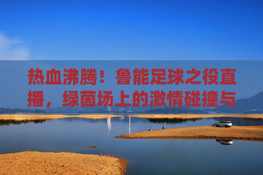 热血沸腾!鲁能足球之役直播,绿茵场上的激情碰撞与荣耀时刻,热血沸腾!鲁能足球之役直播,绿茵场上的激情碰撞与荣耀时刻
