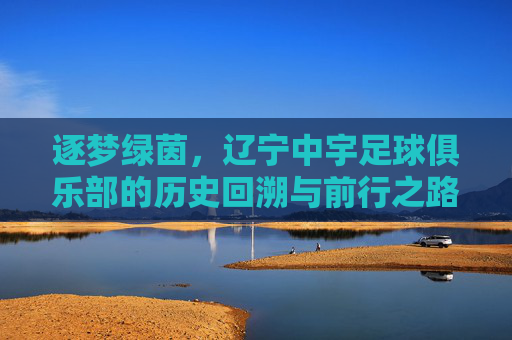 逐梦绿茵,辽宁中宇足球俱乐部的历史回溯与前行之路,逐梦绿茵,辽宁中宇足球俱乐部的历史回溯与前行之路