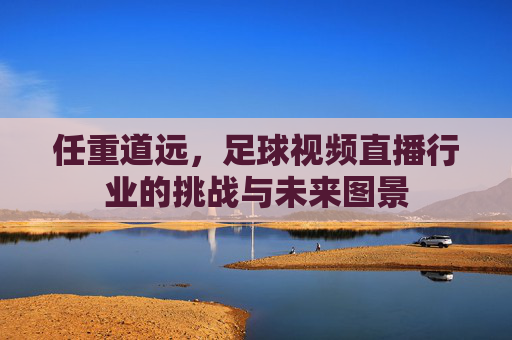 任重道远,足球视频直播行业的挑战与未来图景