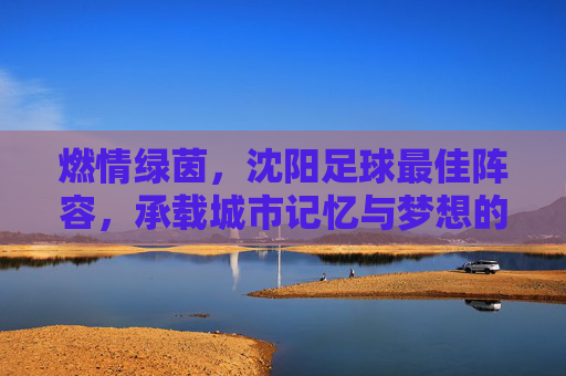 燃情绿茵，沈阳足球最佳阵容，承载城市记忆与梦想的传奇之队，燃情绿茵，沈阳足球最佳阵容，承载城市记忆与梦想的传奇之队
