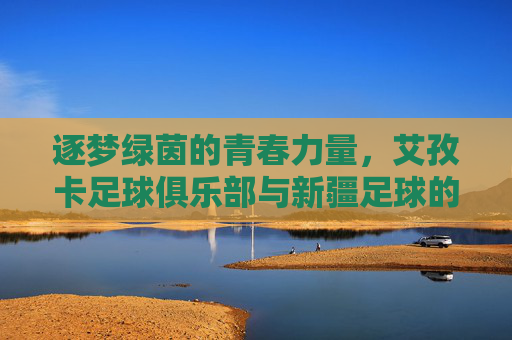 逐梦绿茵的青春力量，艾孜卡足球俱乐部与新疆足球的璀璨篇章