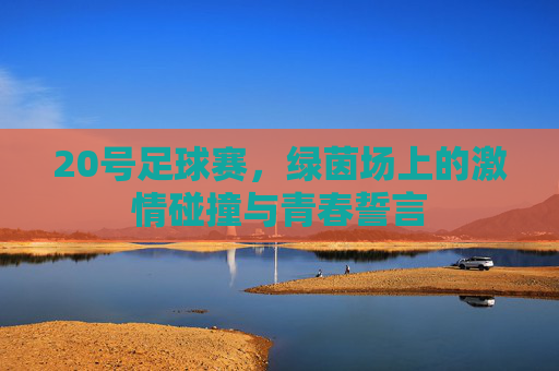 20号足球赛,绿茵场上的激情碰撞与青春誓言