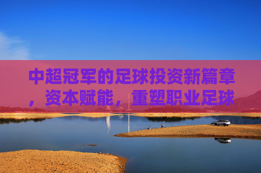 中超冠军的足球投资新篇章,资本赋能,重塑职业足球发展格局