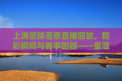 上海足球亚泰直播回放,精彩瞬间与赛事回顾——重温赛场激情,解析战术细节