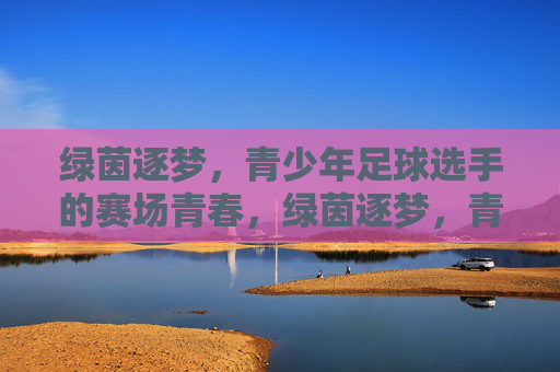 绿茵逐梦，青少年足球选手的赛场青春，绿茵逐梦，青少年足球选手的赛场青春