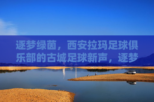 逐梦绿茵，西安拉玛足球俱乐部的古城足球新声，逐梦绿茵，西安拉玛足球俱乐部的古城足球新声