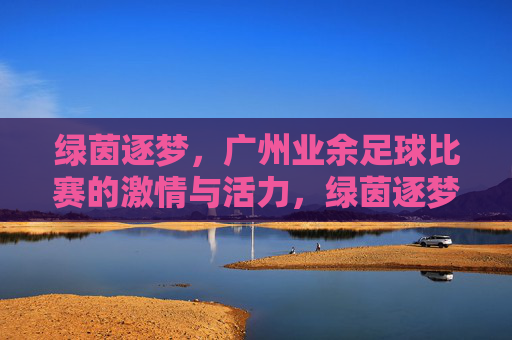 绿茵逐梦，广州业余足球比赛的激情与活力，绿茵逐梦，广州业余足球比赛的激情与活力