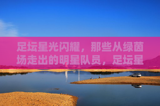 足坛星光闪耀，那些从绿茵场走出的明星队员，足坛星光闪耀，那些从绿茵场走出的明星队员