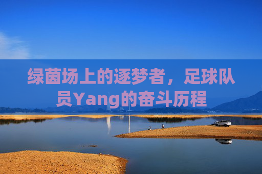 绿茵场上的逐梦者，足球队员Yang的奋斗历程