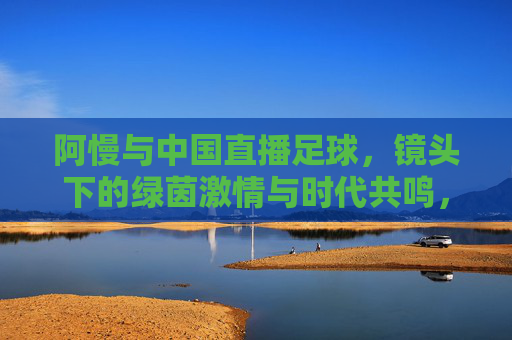 阿慢与中国直播足球,镜头下的绿茵激情与时代共鸣,阿慢与中国直播足球,镜头下的绿茵激情与时代共鸣