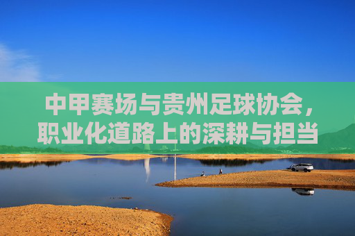 中甲赛场与贵州足球协会，职业化道路上的深耕与担当——贵州足球在中甲联赛中的发展轨迹与未来展望