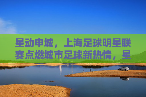 星动申城，上海足球明星联赛点燃城市足球新热情，星动申城，上海足球明星联赛点燃城市足球新热情