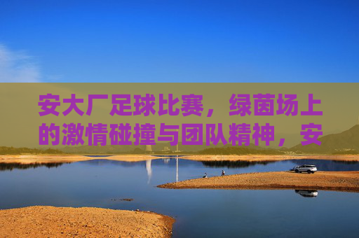 安大厂足球比赛，绿茵场上的激情碰撞与团队精神，安大厂足球比赛，绿茵场上的激情碰撞与团队精神