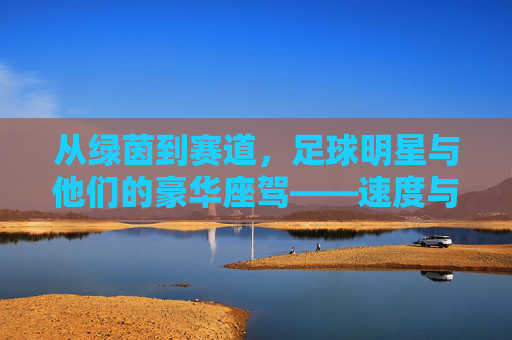 从绿茵到赛道,足球明星与他们的豪华座驾——速度与激情的延伸