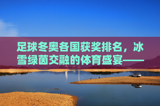 足球冬奥各国获奖排名，冰雪绿茵交融的体育盛宴——各国在冬季奥运会足球项目中的表现与荣誉
