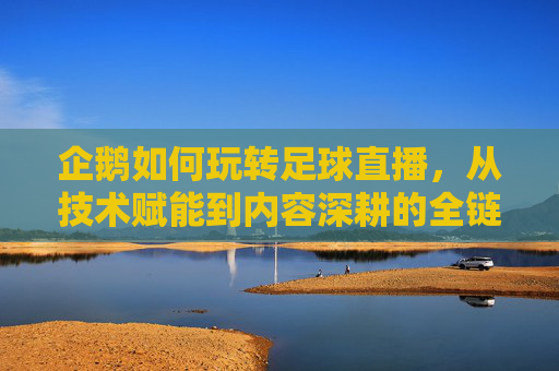 企鹅如何玩转足球直播，从技术赋能到内容深耕的全链路解析，企鹅如何玩转足球直播，从技术赋能到内容深耕的全链路解析
