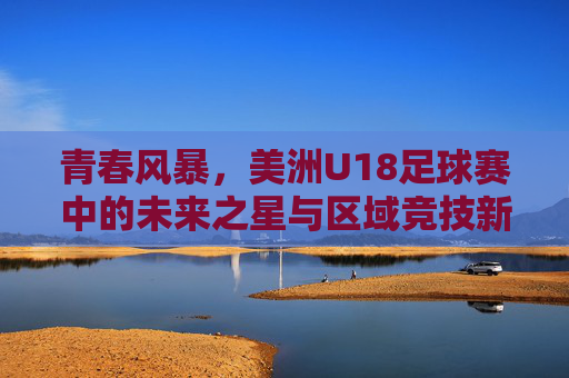 青春风暴，美洲U18足球赛中的未来之星与区域竞技新篇章