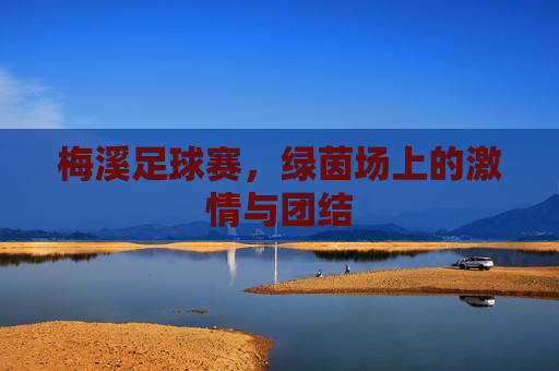 梅溪足球赛，绿茵场上的激情与团结