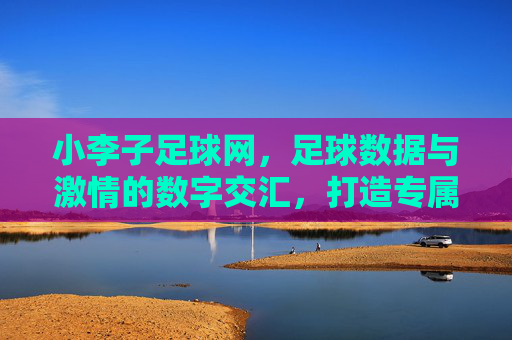 小李子足球网，足球数据与激情的数字交汇，打造专属球迷的智慧观赛空间