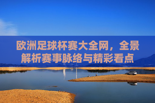 欧洲足球杯赛大全网,全景解析赛事脉络与精彩看点