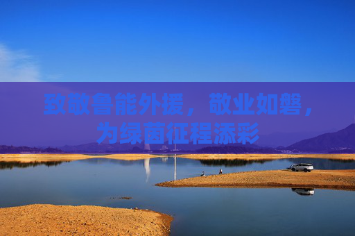 致敬鲁能外援，敬业如磐，为绿茵征程添彩