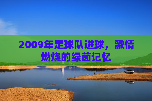 2009年足球队进球,激情燃烧的绿茵记忆
