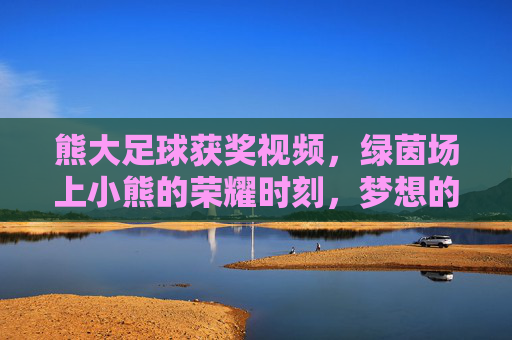熊大足球获奖视频,绿茵场上小熊的荣耀时刻,梦想的绽放