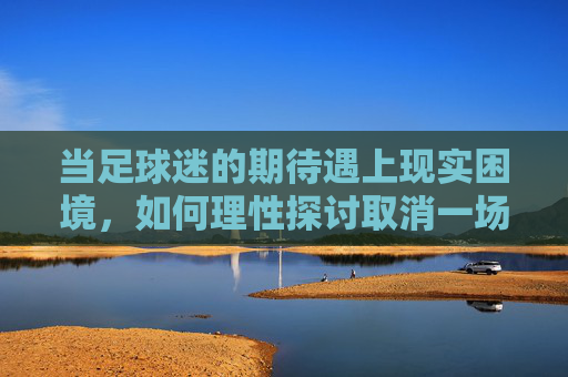 当足球迷的期待遇上现实困境,如何理性探讨取消一场联赛的可能性,足球迷的期待遇现实困境,理性探讨取消一场联赛的可能性