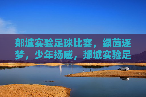 郯城实验足球比赛，绿茵逐梦，少年扬威，郯城实验足球赛，绿茵逐梦，少年扬威