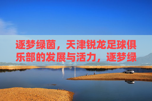 逐梦绿茵,天津锐龙足球俱乐部的发展与活力,逐梦绿茵,天津锐龙足球俱乐部的发展与活力