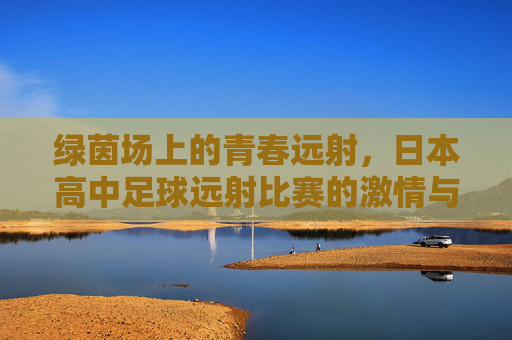 绿茵场上的青春远射，日本高中足球远射比赛的激情与技巧，绿茵场上的青春远射，日本高中足球远射比赛的激情与技巧