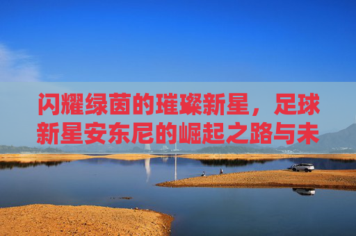 闪耀绿茵的璀璨新星，足球新星安东尼的崛起之路与未来展望