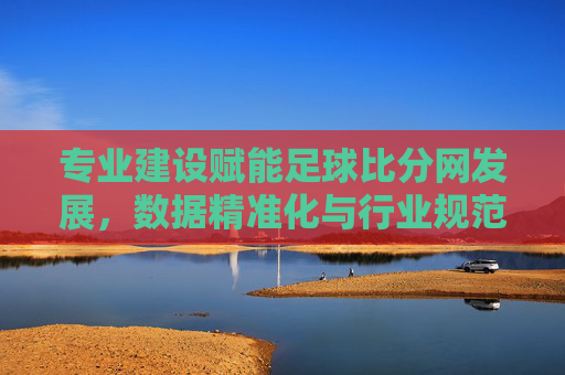 专业建设赋能足球比分网发展,数据精准化与行业规范化之路