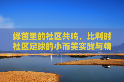 绿茵里的社区共鸣，比利时社区足球的小而美实践与精神内核